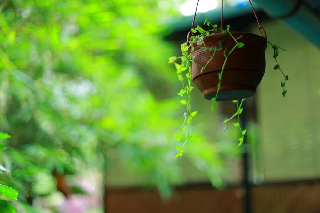 Greenspaces B&B มุนนาร์ ภายนอก รูปภาพ