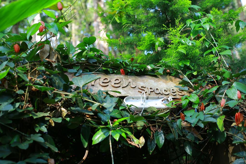 Greenspaces B&B มุนนาร์ ภายนอก รูปภาพ