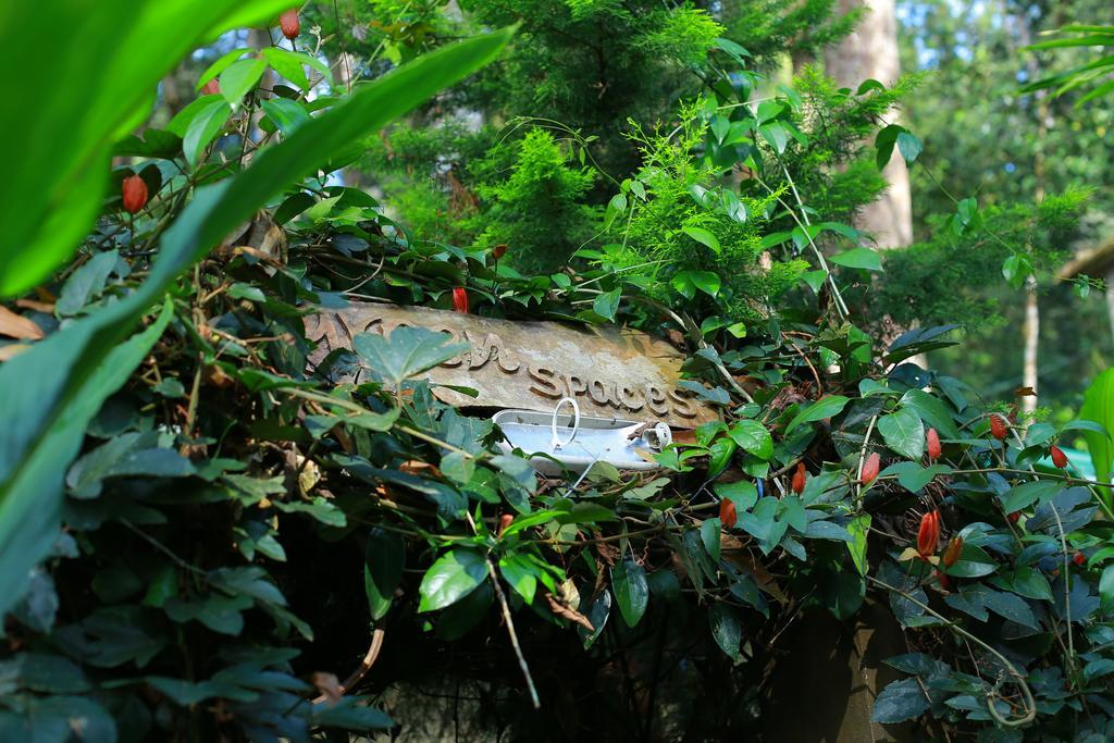 Greenspaces B&B มุนนาร์ ภายนอก รูปภาพ