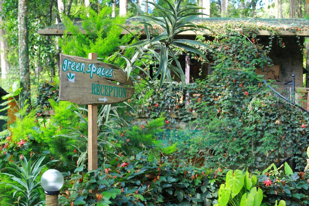 Greenspaces B&B มุนนาร์ ภายนอก รูปภาพ