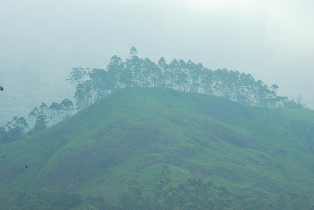 Greenspaces B&B มุนนาร์ ภายนอก รูปภาพ