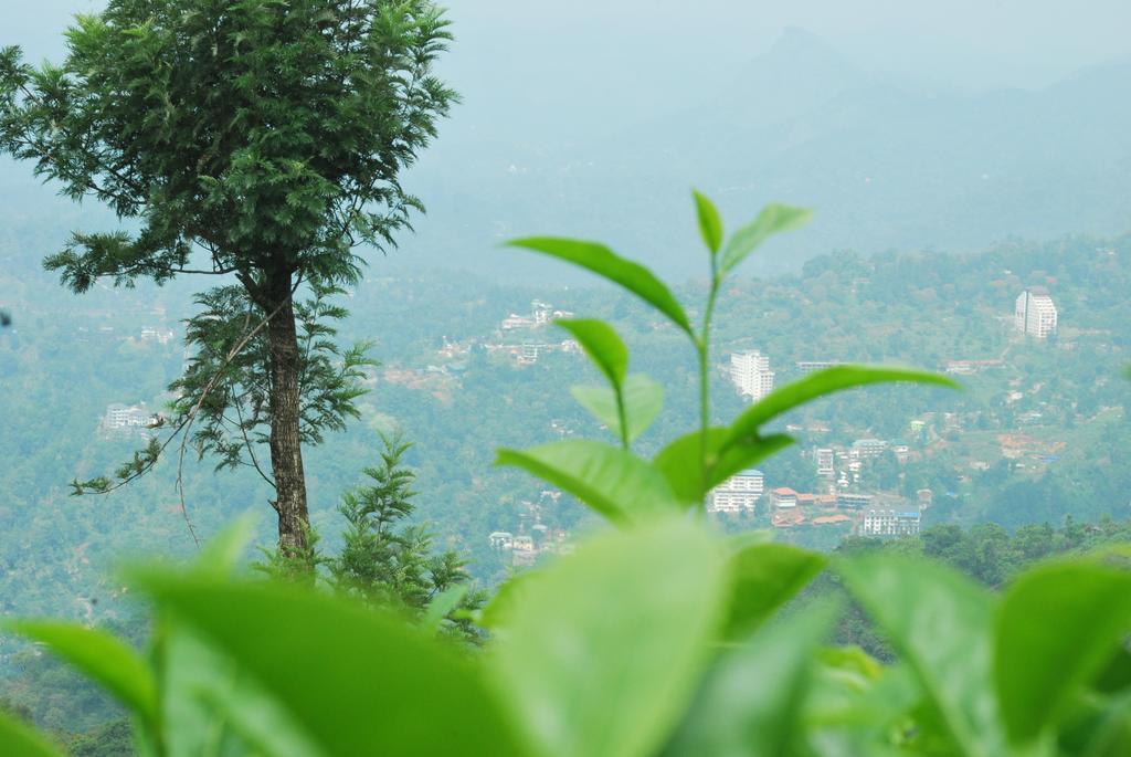 Greenspaces B&B มุนนาร์ ภายนอก รูปภาพ