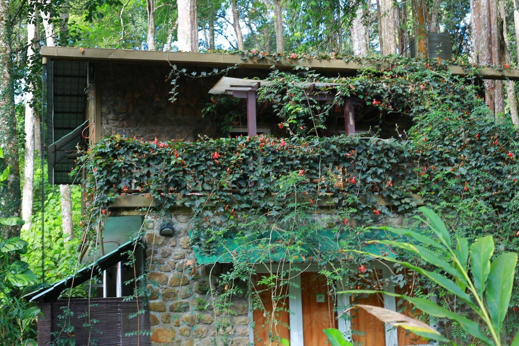 Greenspaces B&B มุนนาร์ ภายนอก รูปภาพ